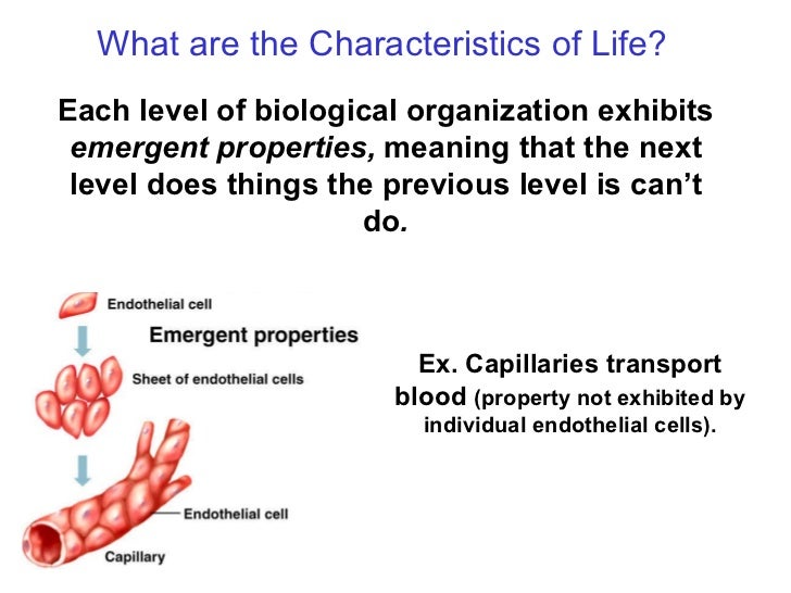 Characteristics of life