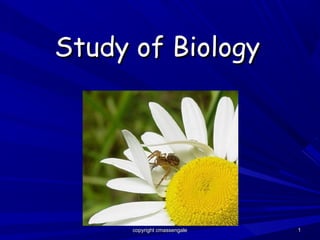 Study of Biology




      copyright cmassengale   1
 