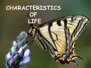 CHARACTERISTICS
      OF
      LIFE
 