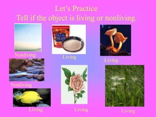 Let’s Practice
Tell if the object is living or nonliving.
Nonliving Living
Living
Living Living
Living
Nonliving
 