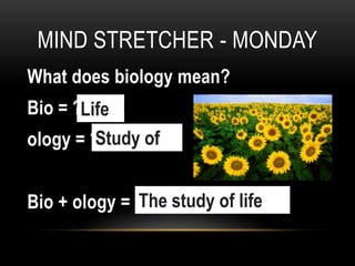 MIND STRETCHER - MONDAY
What does biology mean?
Bio = ????
ology = ?????
Bio + ology = ?????
Life
Study of
The study of life
 