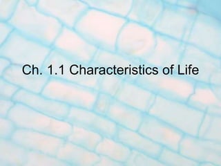 Ch. 1.1 Characteristics of Life
 