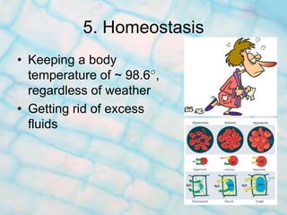 Characteristics Of Life Notes Review