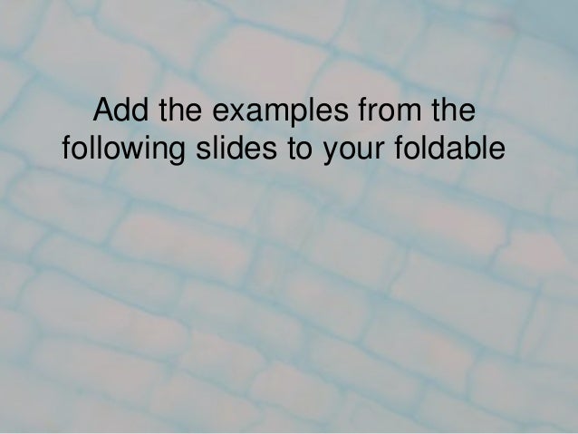 foldable examples