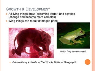 Characteristics of life r1 | PPTX
