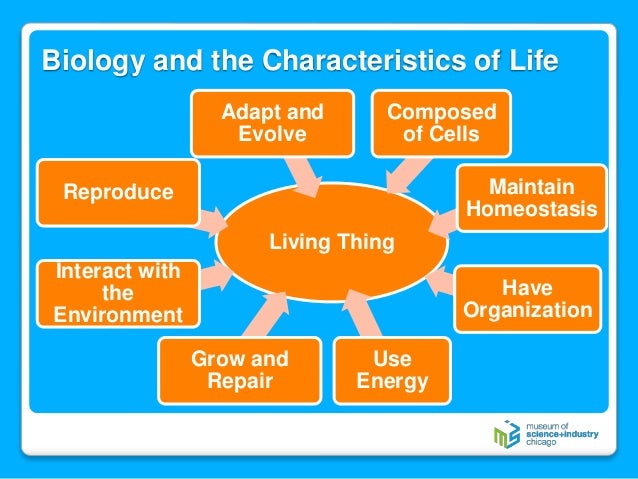characteristics of life case study