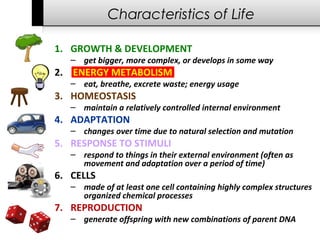 Characteristics Of Life