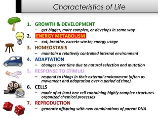 Characteristics of life biology worksheet