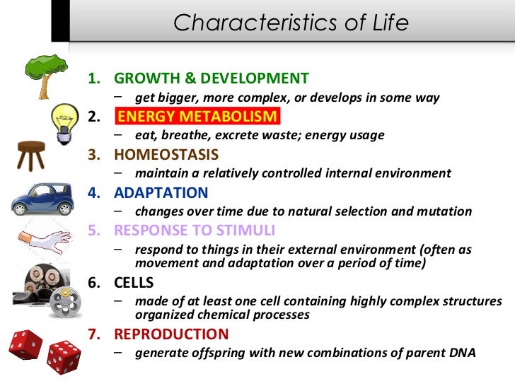 Featured image of post Characteristics Of Life Illustration / Reproduction, cells, genetic material, evolution/adaption, metabolism, homeostasis, response to.