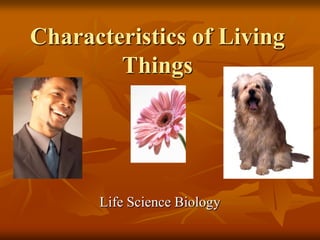 Characteristics of Living Things Life Science Biology 