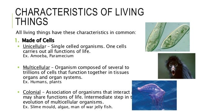 Characteristics Of Living Things