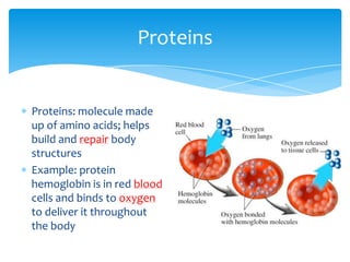 Proteins: molecule made
up of amino acids; helps
build and repair body
structures
Example: protein
hemoglobin is in red blood
cells and binds to oxygen
to deliver it throughout
the body
Proteins
 