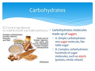 Carbohydrates: molecules
made up of sugars
A. Simple carbohydrates:
one sugar molecule, like
table sugar
B. Complex carbohydrates:
hundreds of sugar
molecules, such as starch
(potato, whole wheat)
Carbohydrates
 