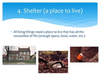 All living things need a place to live that has all the
necessities of life (enough space, food, water, etc.)
4. Shelter (a place to live)
 
