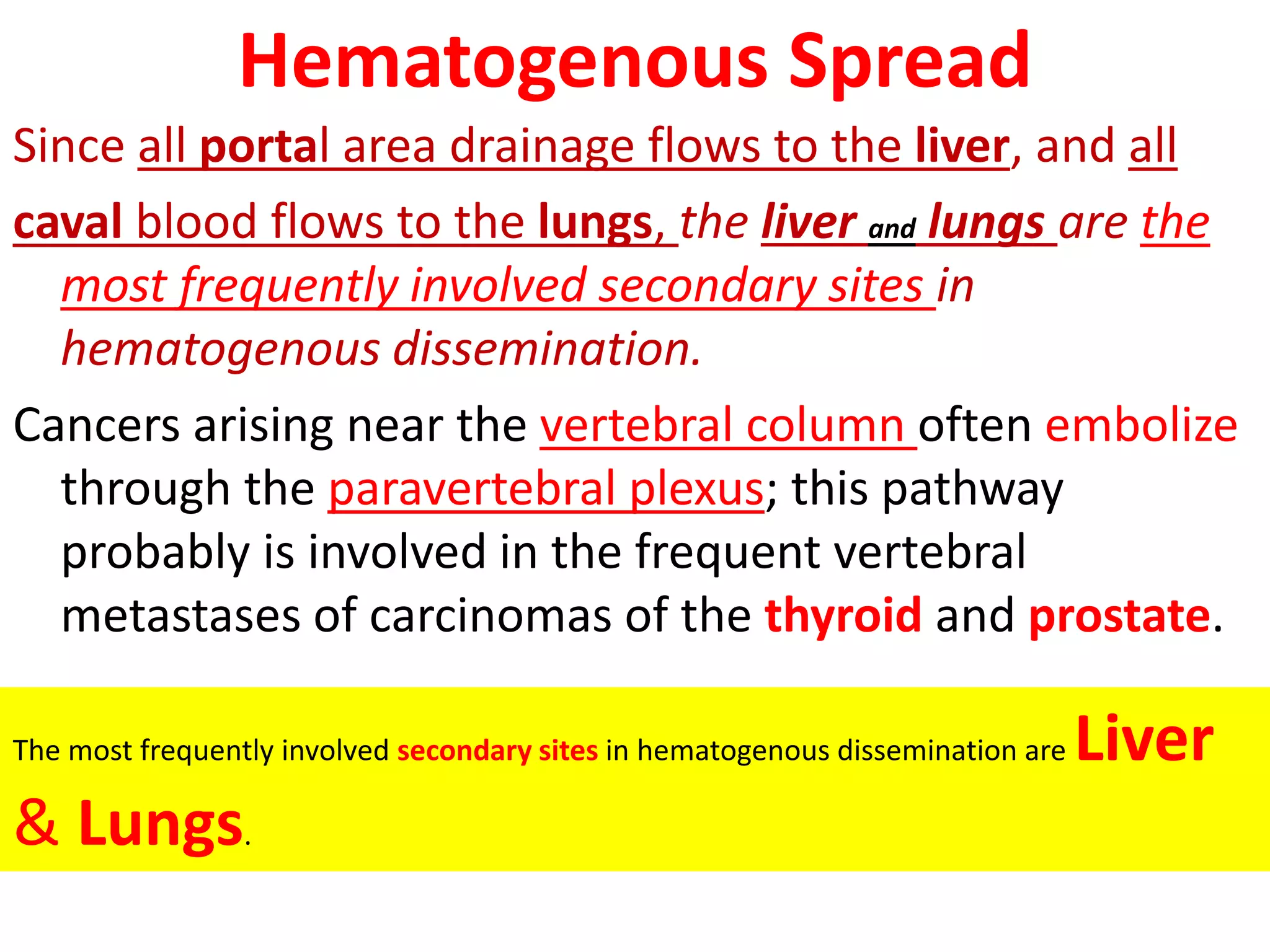 Hematogenous Spread
Since all portal area drainage flows to the liver, and all
caval blood flows to the lungs, the liver and lungs are the
most frequently involved secondary sites in
hematogenous dissemination.
Cancers arising near the vertebral column often embolize
through the paravertebral plexus; this pathway
probably is involved in the frequent vertebral
metastases of carcinomas of the thyroid and prostate.
The most frequently involved secondary sites in hematogenous dissemination are Liver
& Lungs.
 