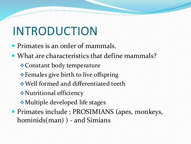Characteristics of primates