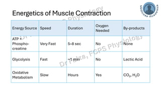 Characteristics of whole skeletal muscle contraction | PDF