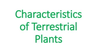 Characteristics
of Terrestrial
Plants
 
