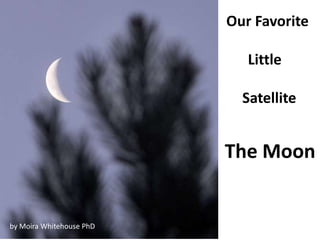 Our Favorite

                             Little

                            Satellite


                          The Moon


by Moira Whitehouse PhD
 