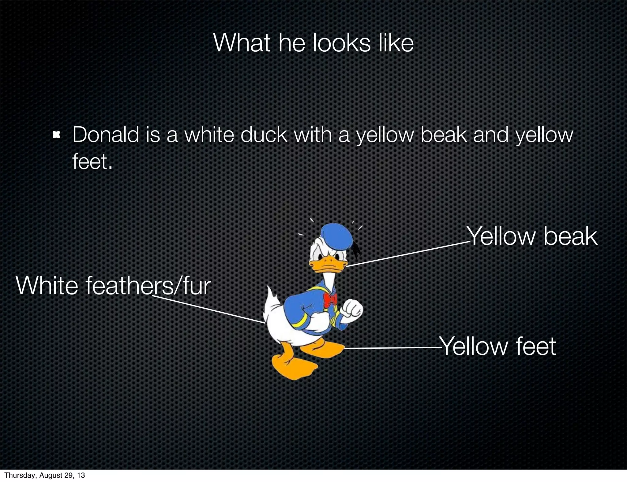 Donald is a white duck with a yellow beak and yellow
feet.
What he looks like
White feathers/fur
Yellow feet
Yellow beak
Thursday, August 29, 13