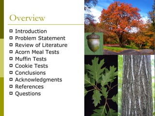 Characterization Of Acorn Meal | PPT