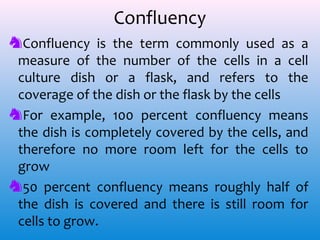 Confluency
♞Confluency is the term commonly used as a
measure of the number of the cells in a cell
culture dish or a flask, and refers to the
coverage of the dish or the flask by the cells
♞For example, 100 percent confluency means
the dish is completely covered by the cells, and
therefore no more room left for the cells to
grow
♞50 percent confluency means roughly half of
the dish is covered and there is still room for
cells to grow.

 