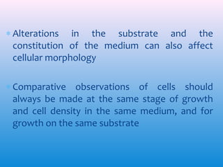 ∗ Alterations in the substrate and the
constitution of the medium can also affect
cellular morphology
∗ Comparative observations of cells should
always be made at the same stage of growth
and cell density in the same medium, and for
growth on the same substrate

 