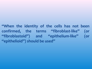 “When the identity of the cells has not been
confirmed, the terms ‘‘fibroblast-like’’ (or
‘‘fibroblastoid’’) and ‘‘epithelium-like’’ (or
‘‘epithelioid’’) should be used”

 