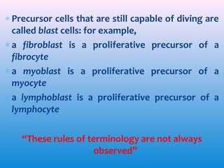 ∗ Precursor cells that are still capable of diving are
called blast cells: for example,
∗ a fibroblast is a proliferative precursor of a
fibrocyte
∗ a myoblast is a proliferative precursor of a
myocyte
∗ a lymphoblast is a proliferative precursor of a
lymphocyte
“These rules of terminology are not always
observed”

 