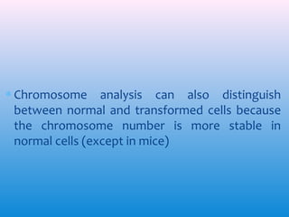 ∗ Chromosome analysis can also distinguish
between normal and transformed cells because
the chromosome number is more stable in
normal cells (except in mice)

 