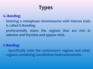 Types
G–Banding:
∗ Staining a metaphase chromosome with Giemsa stain
is called G-Banding.
∗ preferentially stains the regions that are rich in
adenine and thymine and appear dark.
C-Banding:
Specifically stain the centromeric regions and other
regions containing constitutive heterochromatin.

 