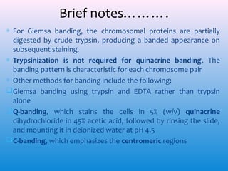 Brief notes……….
∗ For Giemsa banding, the chromosomal proteins are partially
digested by crude trypsin, producing a banded appearance on
subsequent staining.
∗ Trypsinization is not required for quinacrine banding. The
banding pattern is characteristic for each chromosome pair
∗ Other methods for banding include the following:
Giemsa banding using trypsin and EDTA rather than trypsin
alone
Q-banding, which stains the cells in 5% (w/v) quinacrine
dihydrochloride in 45% acetic acid, followed by rinsing the slide,
and mounting it in deionized water at pH 4.5
C-banding, which emphasizes the centromeric regions

 