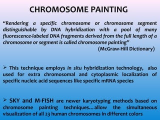 CHROMOSOME PAINTING
“Rendering a specific chromosome or chromosome segment
distinguishable by DNA hybridization with a pool of many
fluorescence-labeled DNA fragments derived from the full length of a
chromosome or segment is called chromosome painting”
(McGraw-Hill Dictionary)
 This technique employs in situ hybridization technology, also
used for extra chromosomal and cytoplasmic localization of
specific nucleic acid sequences like specific mRNA species
 SKY and M-FISH are newer karyotyping methods based on
chromosome painting techniques…allow the simultaneous
visualization of all 23 human chromosomes in different colors

 