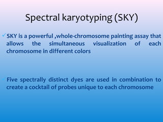 SKY is a powerful ,whole-chromosome painting assay that
allows the simultaneous visualization of each
chromosome in different colors

Five spectrally distinct dyes are used in combination to
create a cocktail of probes unique to each chromosome

 