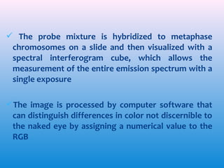  The probe mixture is hybridized to metaphase
chromosomes on a slide and then visualized with a
spectral interferogram cube, which allows the
measurement of the entire emission spectrum with a
single exposure
The image is processed by computer software that
can distinguish differences in color not discernible to
the naked eye by assigning a numerical value to the
RGB

 