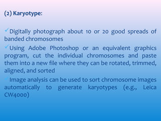 (2) Karyotype:
Digitally photograph about 10 or 20 good spreads of
banded chromosomes
Using Adobe Photoshop or an equivalent graphics
program, cut the individual chromosomes and paste
them into a new file where they can be rotated, trimmed,
aligned, and sorted
Image analysis can be used to sort chromosome images
automatically to generate karyotypes (e.g., Leica
CW4000)

 