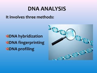 It involves three methods:

DNA hybridization
DNA fingerprinting
DNA profiling

 