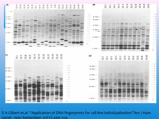 .
D A Gilbert et.al “Application of DNA fingerprints for cell-line individualization”Am J Hum
Genet. 1990 September; 47(3): 499–514.

 