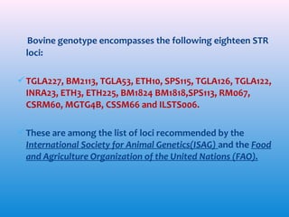 Bovine genotype encompasses the following eighteen STR
loci:
 TGLA227, BM2113, TGLA53, ETH10, SPS115, TGLA126, TGLA122,
INRA23, ETH3, ETH225, BM1824 BM1818,SPS113, RM067,
CSRM60, MGTG4B, CSSM66 and ILSTS006.
 These are among the list of loci recommended by the
International Society for Animal Genetics(ISAG) and the Food
and Agriculture Organization of the United Nations (FAO).

 