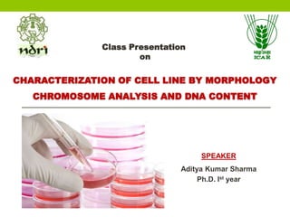 Class Presentation
on

CHARACTERIZATION OF CELL LINE BY MORPHOLOGY
CHROMOSOME ANALYSIS AND DNA CONTENT

SPEAKER
Aditya Kumar Sharma
Ph.D. Ist year

 