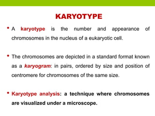Characterization of cell line by Cell morphology, Chromosome analysis ...