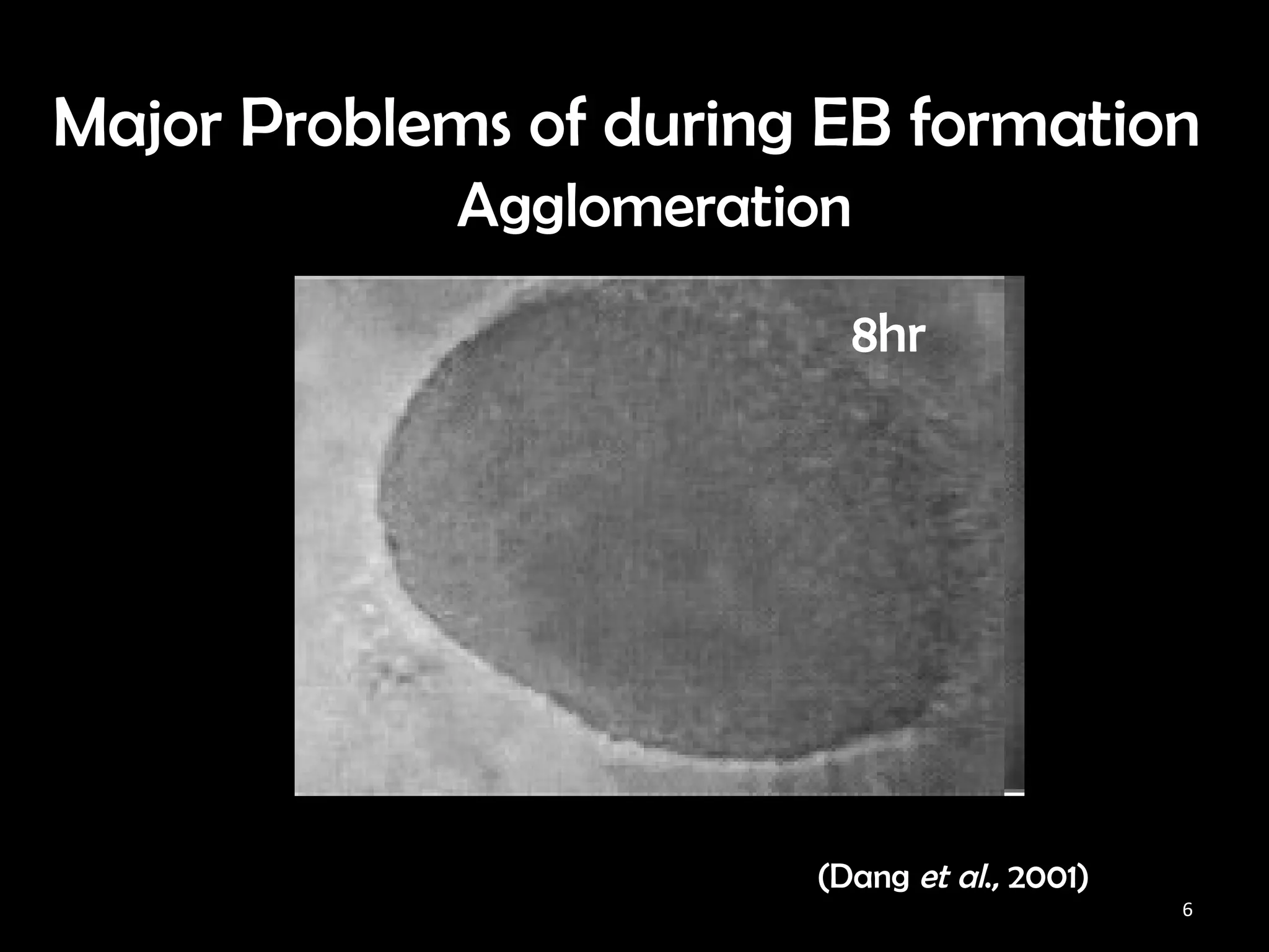 Characterization of embryoid bodies formed with different protocols ...