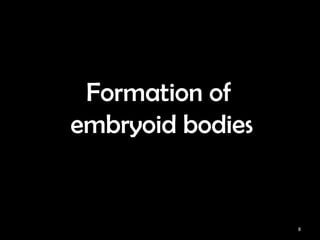 Characterization of embryoid bodies formed with different protocols 使用 ...