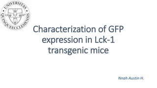 Nnah Austin H.
Characterization of GFP
expression in Lck-1
transgenic mice
 