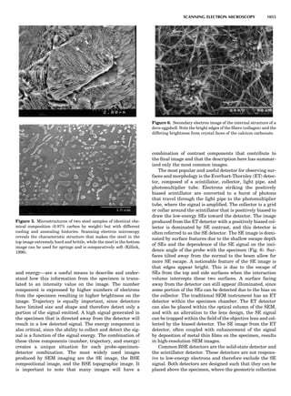Characterizationofmaterials eltonn-kaufmann-130214165548-phpapp02
