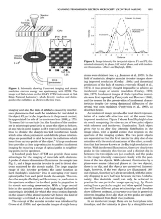 Characterizationofmaterials eltonn-kaufmann-130214165548-phpapp02