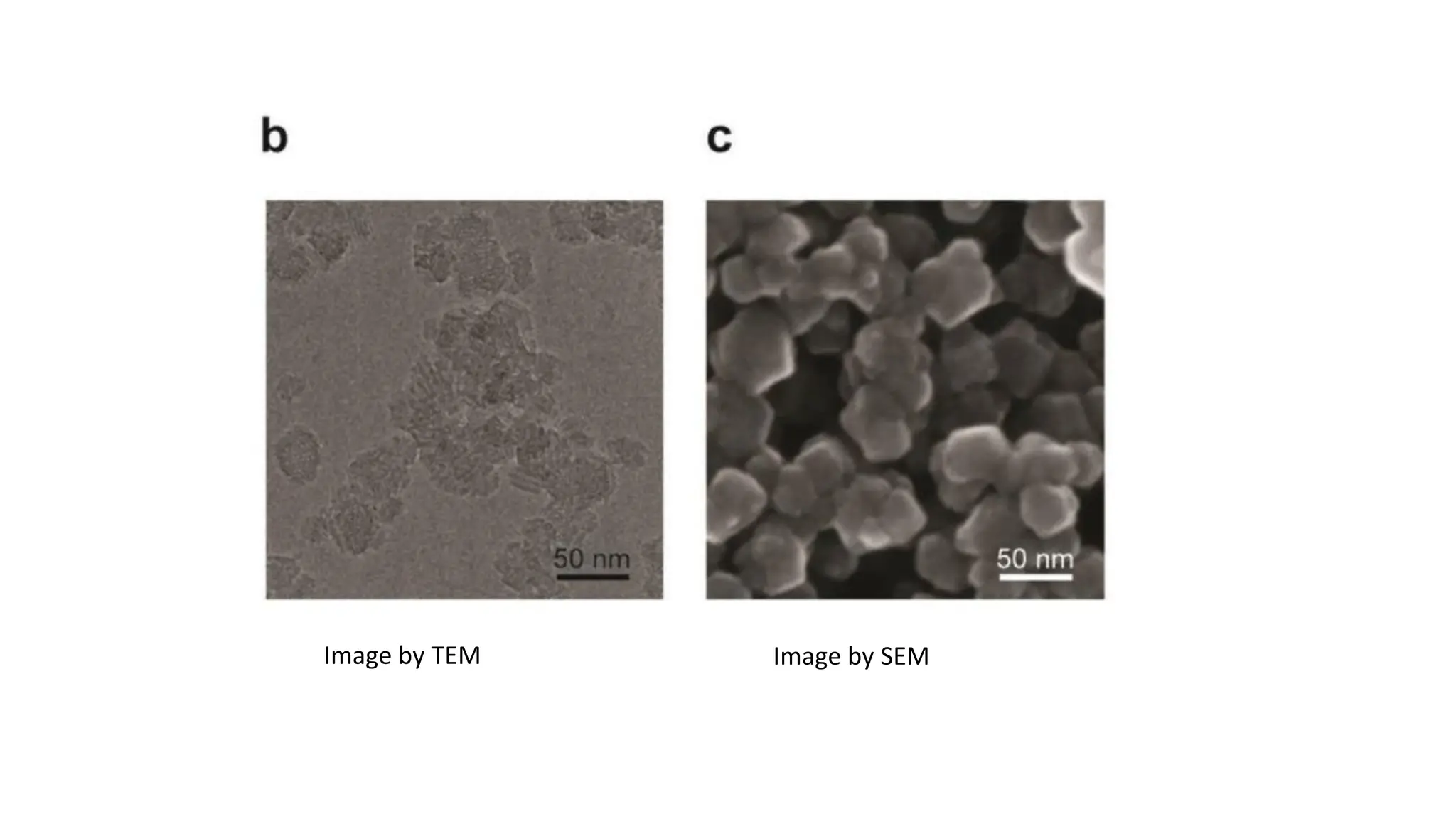 Image by TEM Image by SEM
 