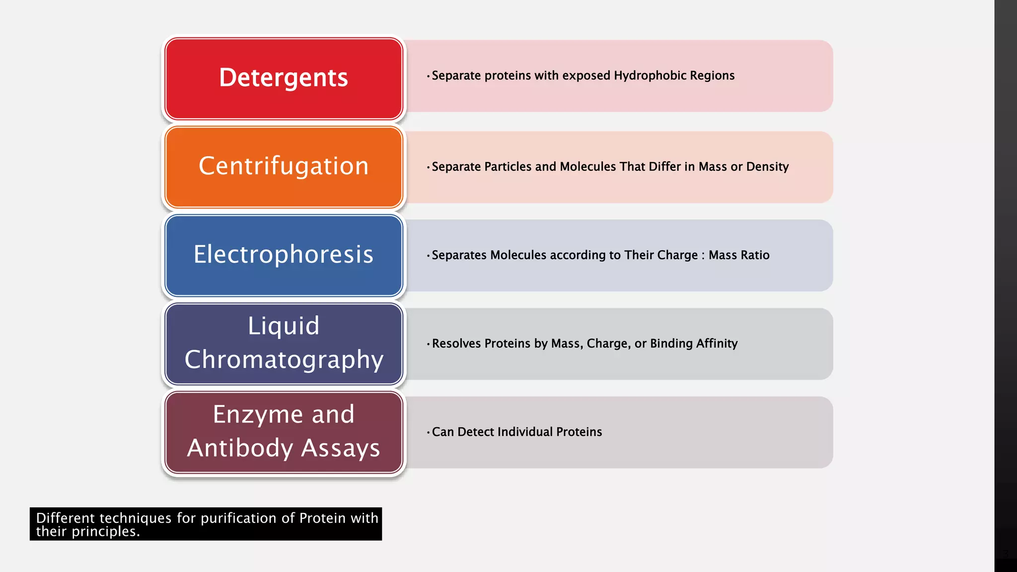 Characterization of proteins | PPTX