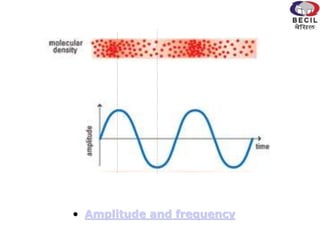 • Amplitude and frequency
 