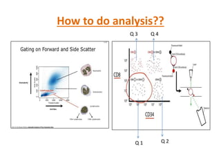 Characterization of stem cells | PPTX